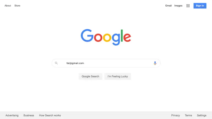 Google_web_search